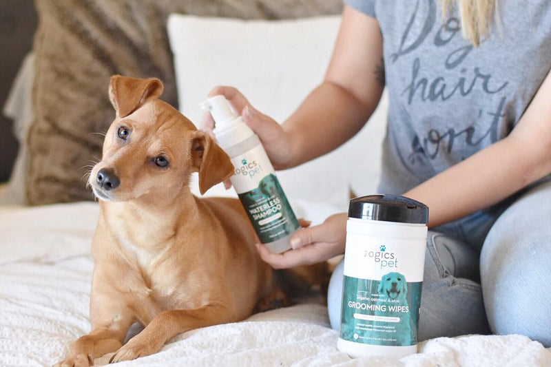 My best friend dog clearance shampoo