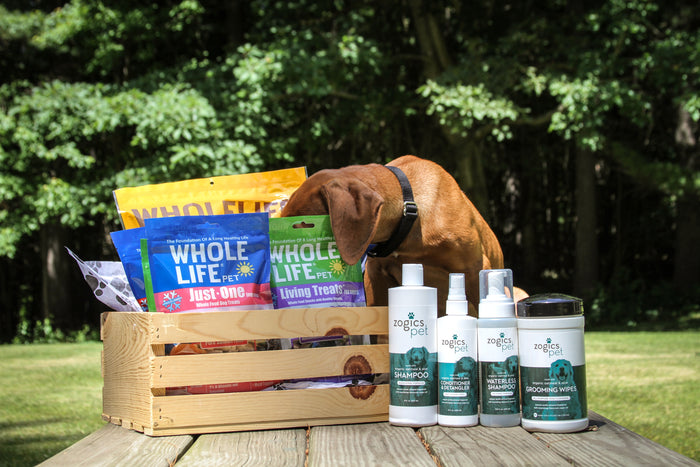 One Ingredient Wonder: Why Whole Life Pet Freeze-Dried Dog Treats Are a Must-Try